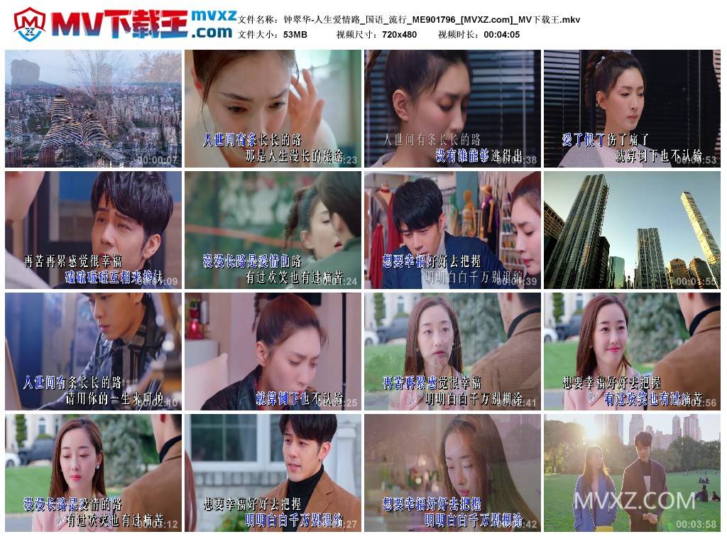 钟翠华-人生爱情路_国语_流行_ME901796